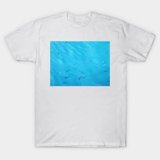 Fish in the Blue Sea Water Photo T-Shirt